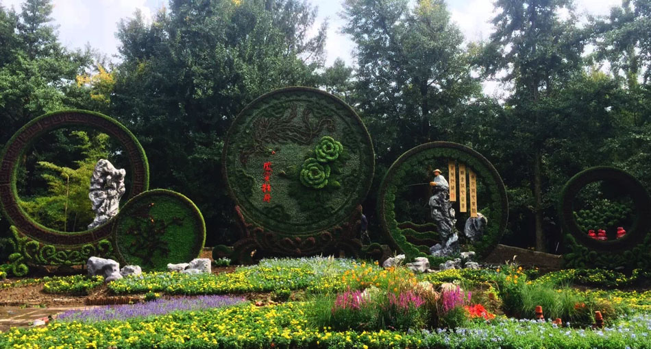 泡沫乐动手机版登录入口假山杭州植物园